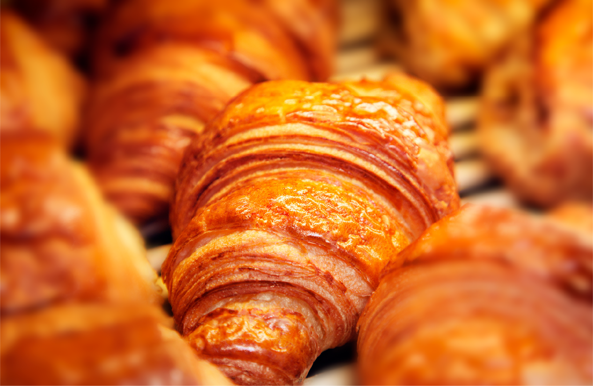 Projeto Nutrisafelab